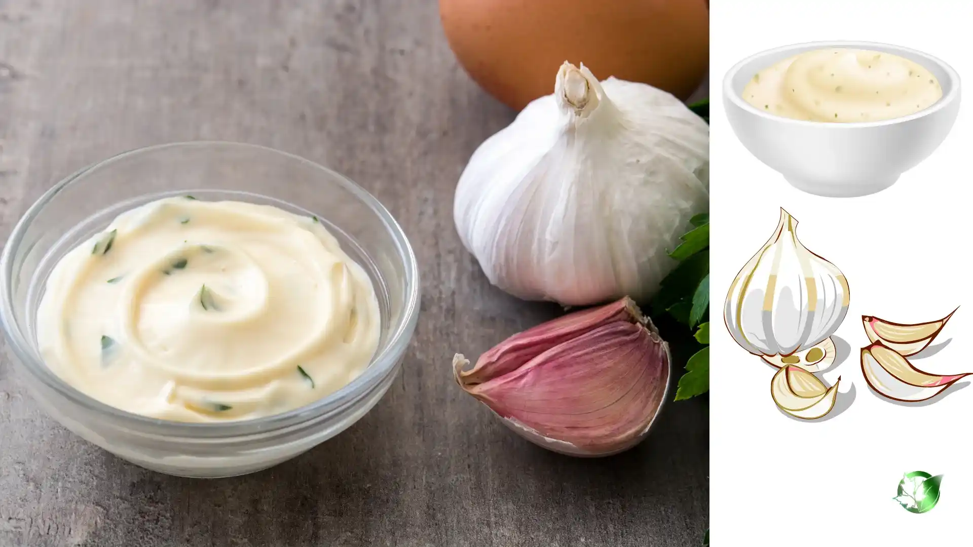 Commercial presentation of Garlic Sauce for wholesale product evaluation and buyer review.